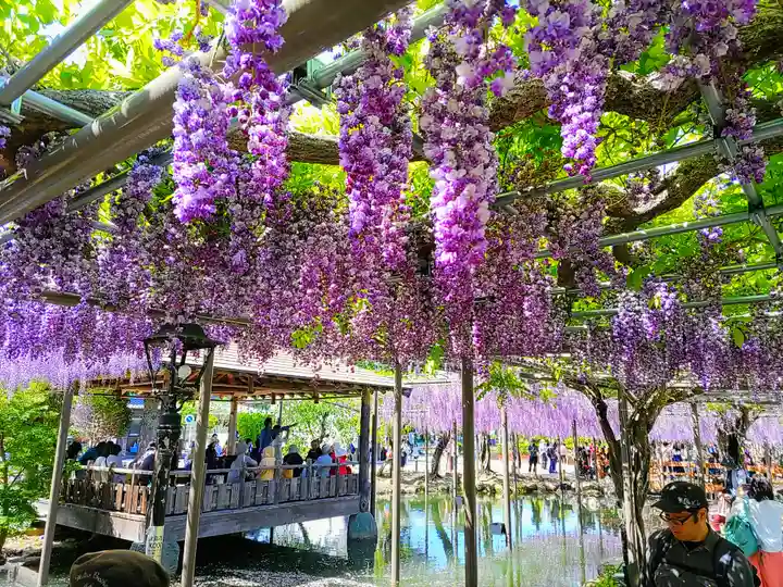 津島神社の周辺