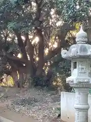 猿田神社の自然