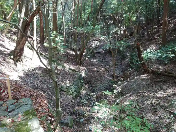 伊勢神宮内宮(皇大神宮)の自然