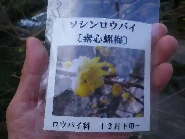 光則寺の授与品その他