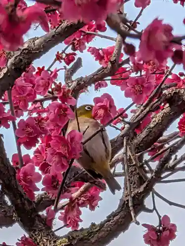 鳳林寺(東京都)
