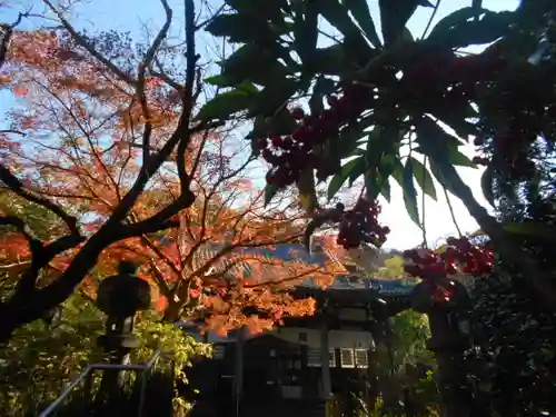 安國論寺（安国論寺）のその他建物