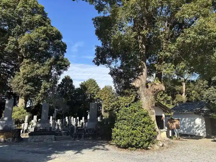 竜岩院(愛知県)
