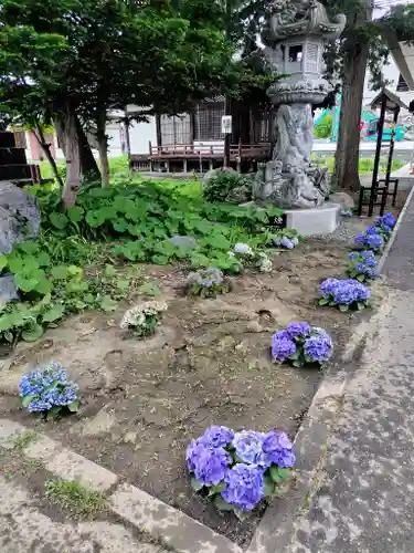 眞久寺の庭園