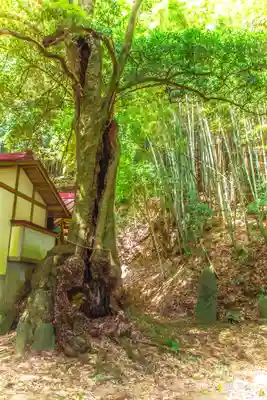 鹿島神社(宮城県)