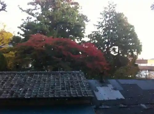 筑波山神社の自然