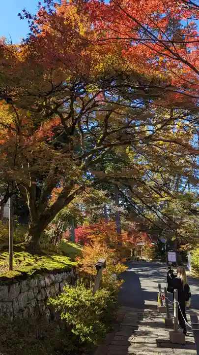 曼殊院門跡(京都府)
