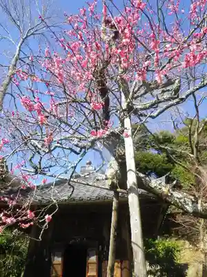 瑞泉寺のその他建物