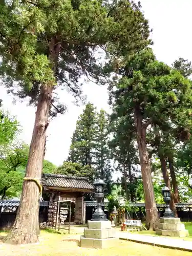 守りの神　藤基神社(新潟県)