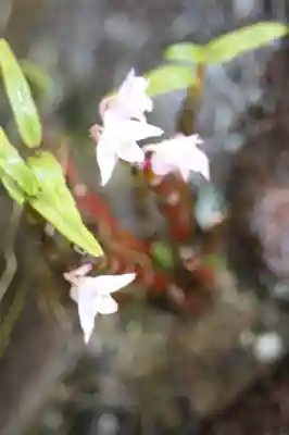西應寺(滋賀県)