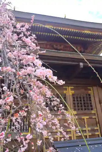 湯島天満宮(東京都)