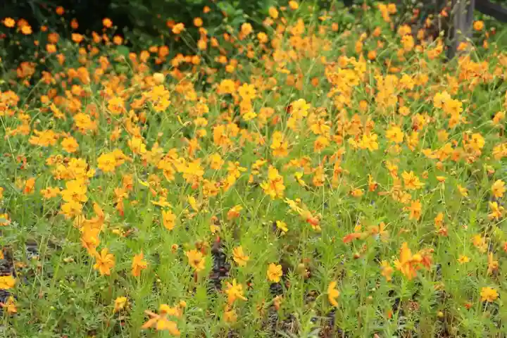 豊景神社の自然