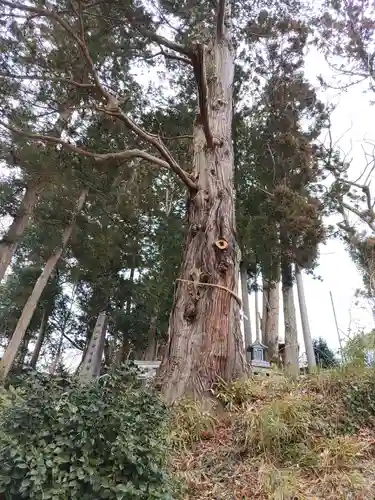 阿久津「田村神社」（郡山市阿久津町）旧社名：伊豆箱根三嶋三社(福島県)