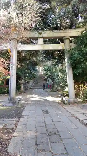 赤坂氷川神社の鳥居