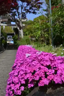 横浜御嶽神社(神奈川県)