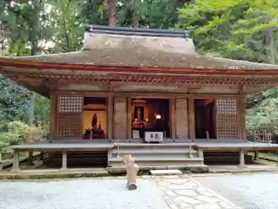 室生寺(奈良県)