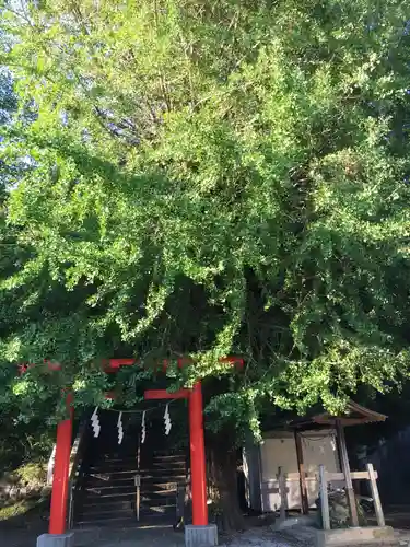 雷神社の鳥居