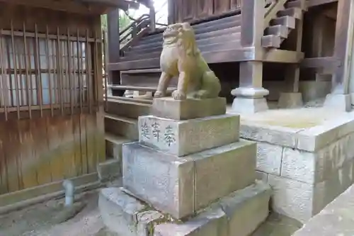 皇后八幡神社の狛犬