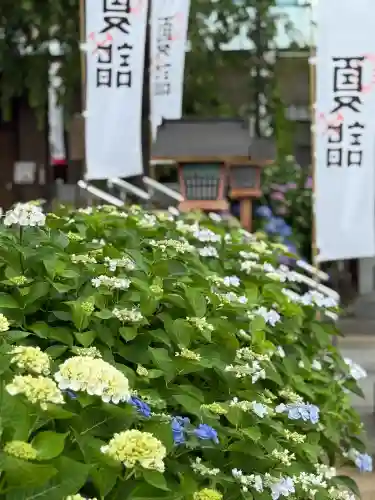 川越八幡宮(埼玉県)