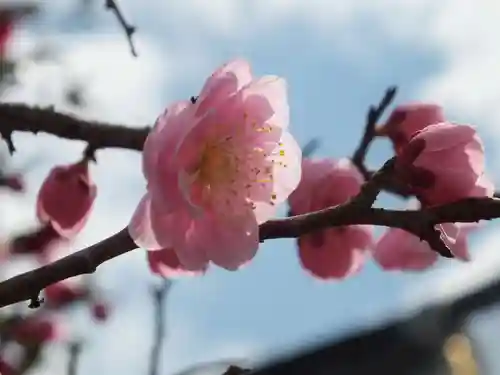 神戸神社の自然