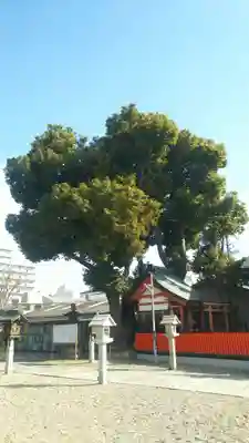 姫嶋神社のその他建物