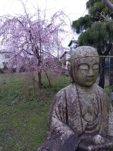 善導寺(新潟県)