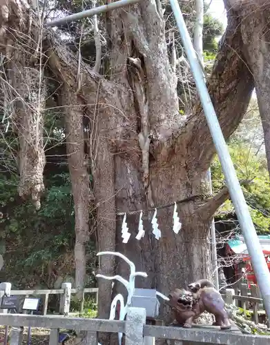 海南神社(神奈川県)