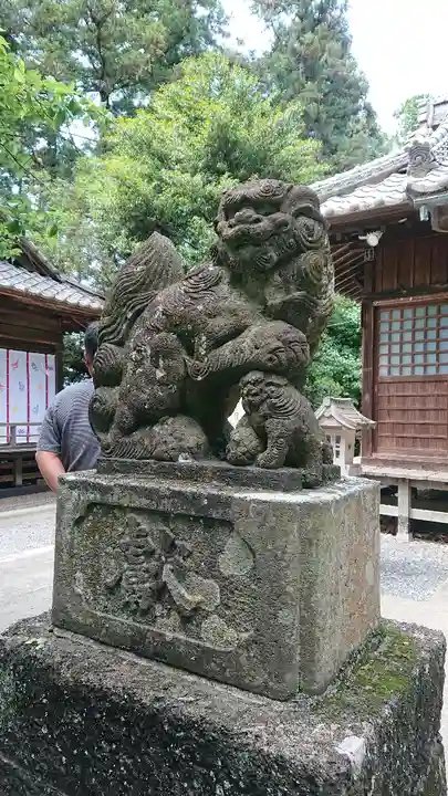 下野 星宮神社の狛犬