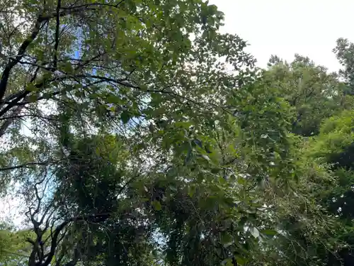 大宮温泉神社(栃木県)