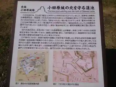 蓮池弁財天社(神奈川県)