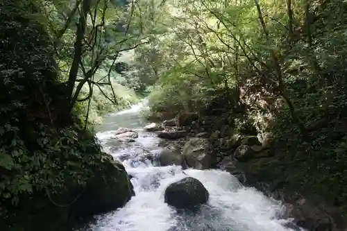 天岩戸神社の自然