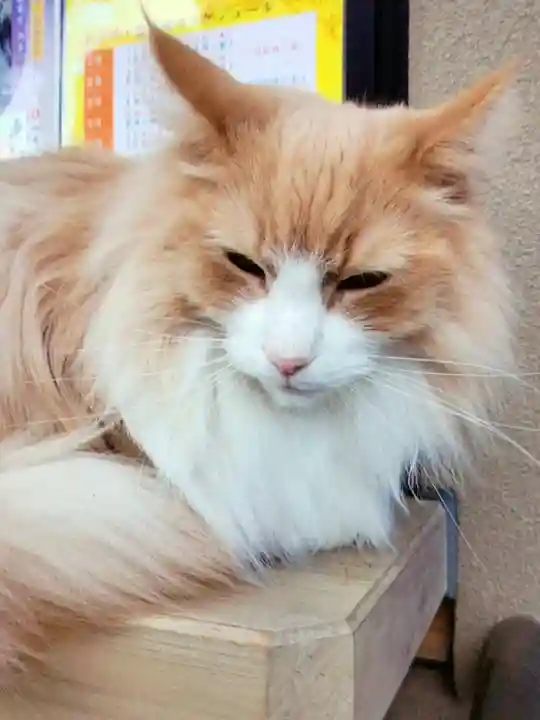 駒込妙義神社(東京都)