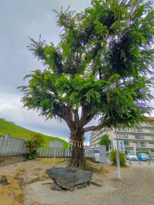 西八龍社の自然