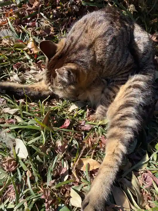 唐澤山神社(栃木県)