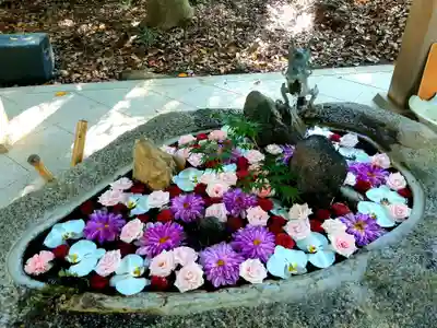 井伊谷宮の手水舎