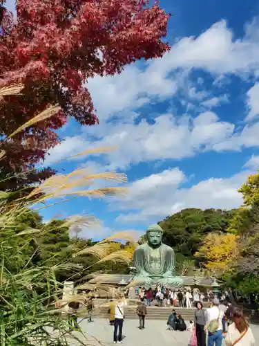 高徳院の仏像