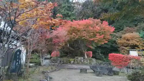圓融寺(埼玉県)