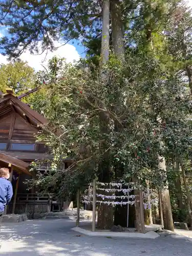 椿大神社の庭園