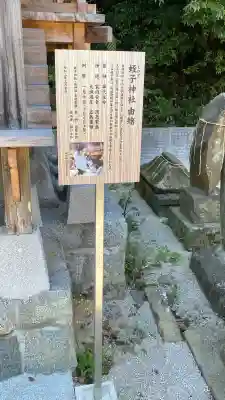 一宮神社の{uncategorized: "未分類", other: "その他", undefined: "問題あり", building: "その他建物", grave: "お墓", sacred_gate: "鳥居", guardian: "狛犬", statue: "像", buddha: "仏像", history: "歴史", nature: "自然", garden: "庭園", animal: "動物", pagoda: "塔", temizu: "手水舎", mountain_gate: "山門・神門", sanctuary: "本殿・本堂", subordinate: "末社・摂社", art: "芸術", scenery: "景色", jizo: "地蔵", ema: "絵馬", goshuin: "御朱印", omikuji: "おみくじ", items: "授与品その他", amulet: "お守り", goshuincho: "御朱印帳", eats: "食事", festival: "お祭り", votive_dance: "神楽", shichigosan: "七五三参", wedding: "結婚式", experience: "体験その他", initially: "初詣", around: "周辺", anti_infection: "感染症対策"}