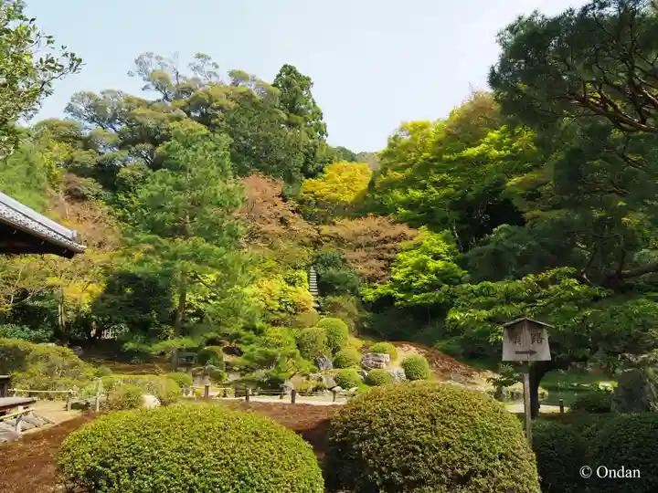 青蓮院門跡(京都府)