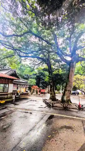 大宮・大原神社(千葉県)
