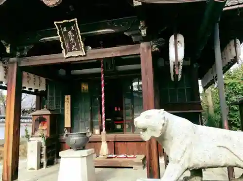 両足院の狛犬