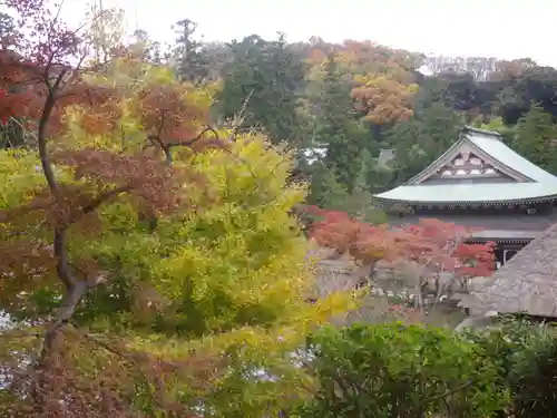 龍隠庵の庭園