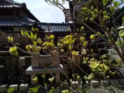 大念寺(大阪府)