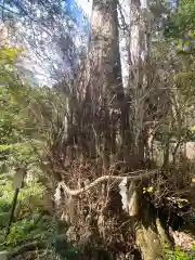 貴船神社の自然