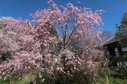 瑠璃寺(長野県)