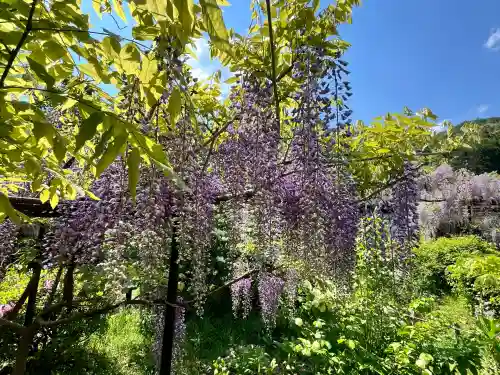 白毫寺熊野権現社(兵庫県)