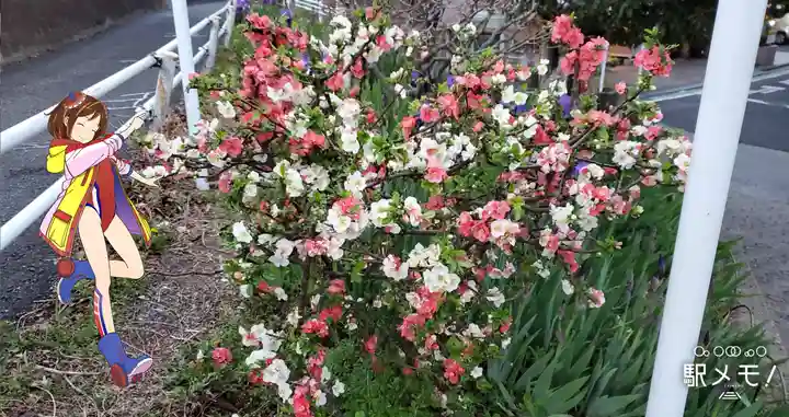 奥戸馬頭観音の自然