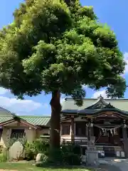 若宮神社の本殿