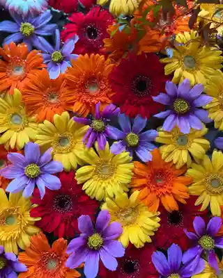 札幌諏訪神社の手水舎